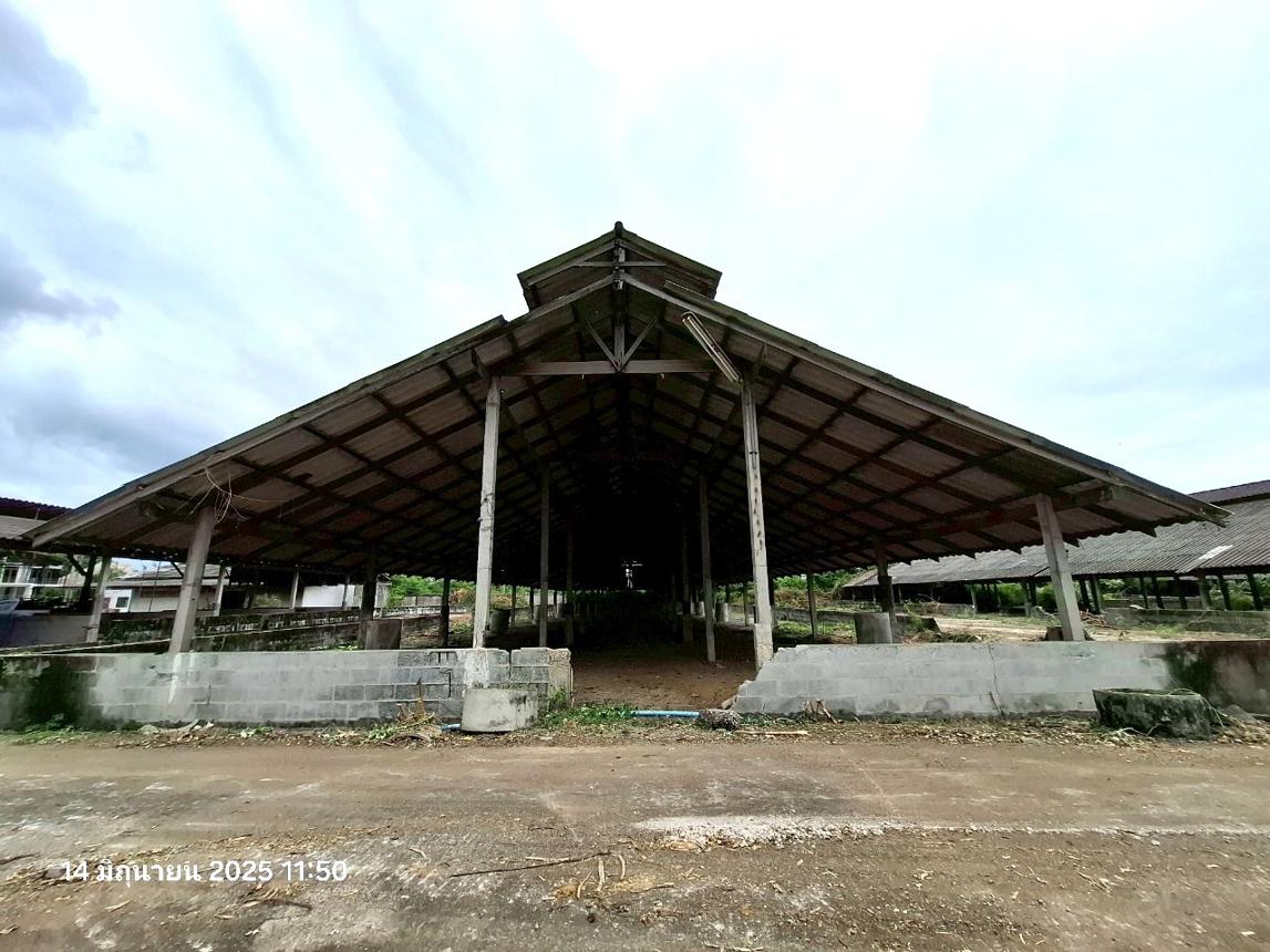 picture LAND 10017 Sq.w. Photharam Ratchburi for 12.8M - 29/37