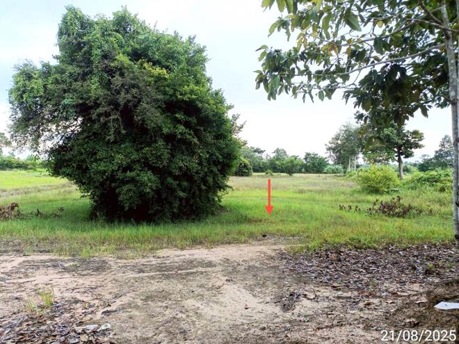 รูป บ้านเดี่ยว 2369 ตร.วา สุวรรณภูมิ ร้อยเอ็ด 1.3M - รูปที่ 8/25
