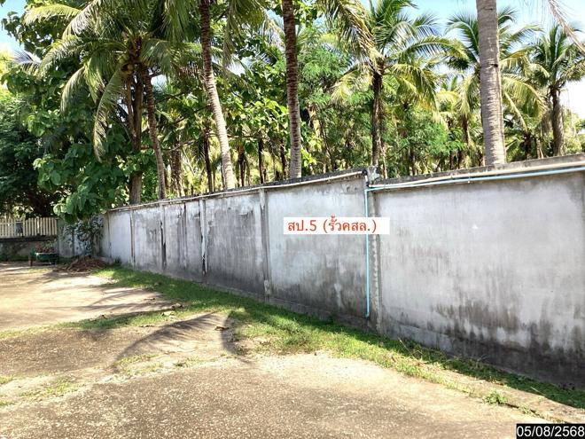 รูป บ้านเดี่ยว 1814 ตร.วา เมืองสกลนคร สกลนคร 8.6M - รูปที่ 30/65