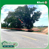 listing thumbnail image 20
