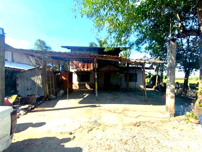 บ้านเดี่ยว ชัยนาท : บ้านเดี่ยว 117 ตร.วา หันคา ชัยนาท 258,000