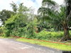 listing thumbnail image 29