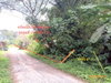 listing thumbnail image 28