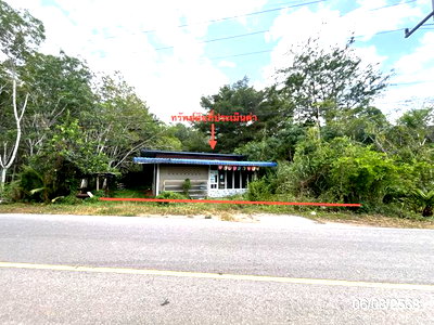 บ้านเดี่ยว สุราษฎร์ธานี : บ้านเดี่ยว 110 ตร.วา พุนพิน สุราษฎร์ธานี 1.8M