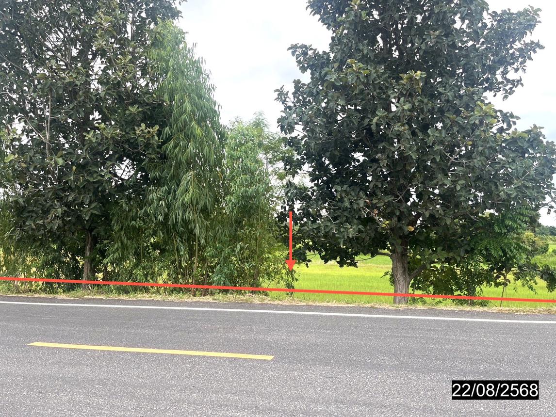 picture LAND 4242 Sq.w. Yang Si Surat Maha Sarakham for 2.8M - 9/19