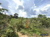 listing thumbnail image 20