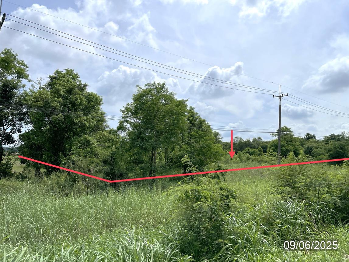 picture LAND 5639 Sq.w. Muang Phitsanulok Phitsanulok for 57.3M - 9/19