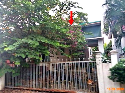 บ้านเดี่ยว บ้านยาง บุรีรัมย์ : บ้านเดี่ยว 62 ตร.วา บ้านยางโมเดิร์น เมืองบุรีรัมย์ บุรีรัมย์ 1.8M