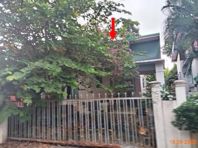 รูป บ้านเดี่ยว 62 ตร.วา บ้านยางโมเดิร์น เมืองบุรีรัมย์ บุรีรัมย์ 1.8M - รูปที่ 1/11
