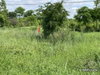 listing thumbnail image 4