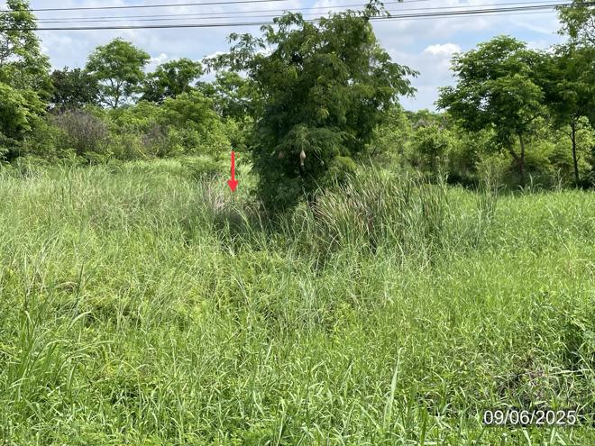 picture LAND 5639 Sq.w. Muang Phitsanulok Phitsanulok for 57.3M - 5/19