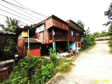 รูป บ้านเดี่ยว 178 ตร.วา เมืองลำพูน ลำพูน 3.8M - รูปที่ 60/63