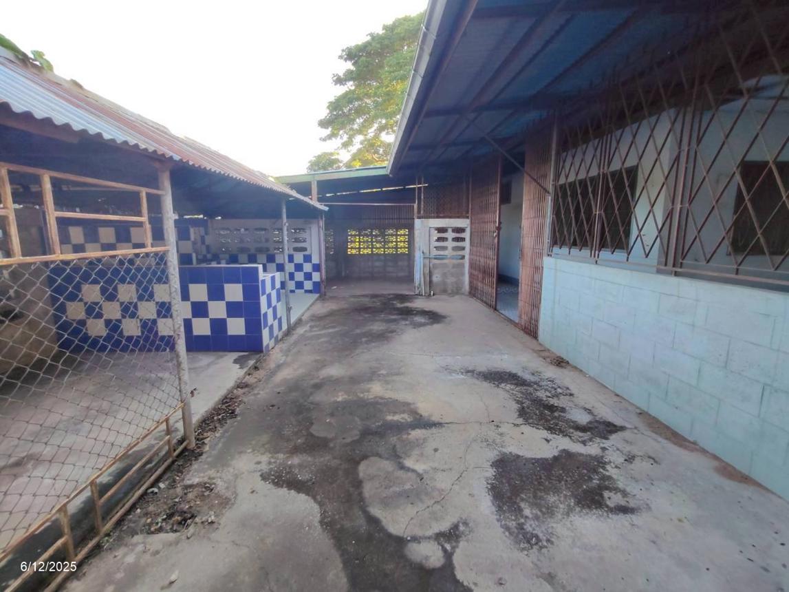 picture SHOP HOUSE 167.3 Sq.w. Chum Phae Khon Kaen for 5.2M - 45/55