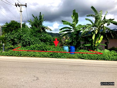 ที่ดิน ระนอง : ที่ดินว่างเปล่า 289 ตร.วา เมืองระนอง ระนอง 3.3M