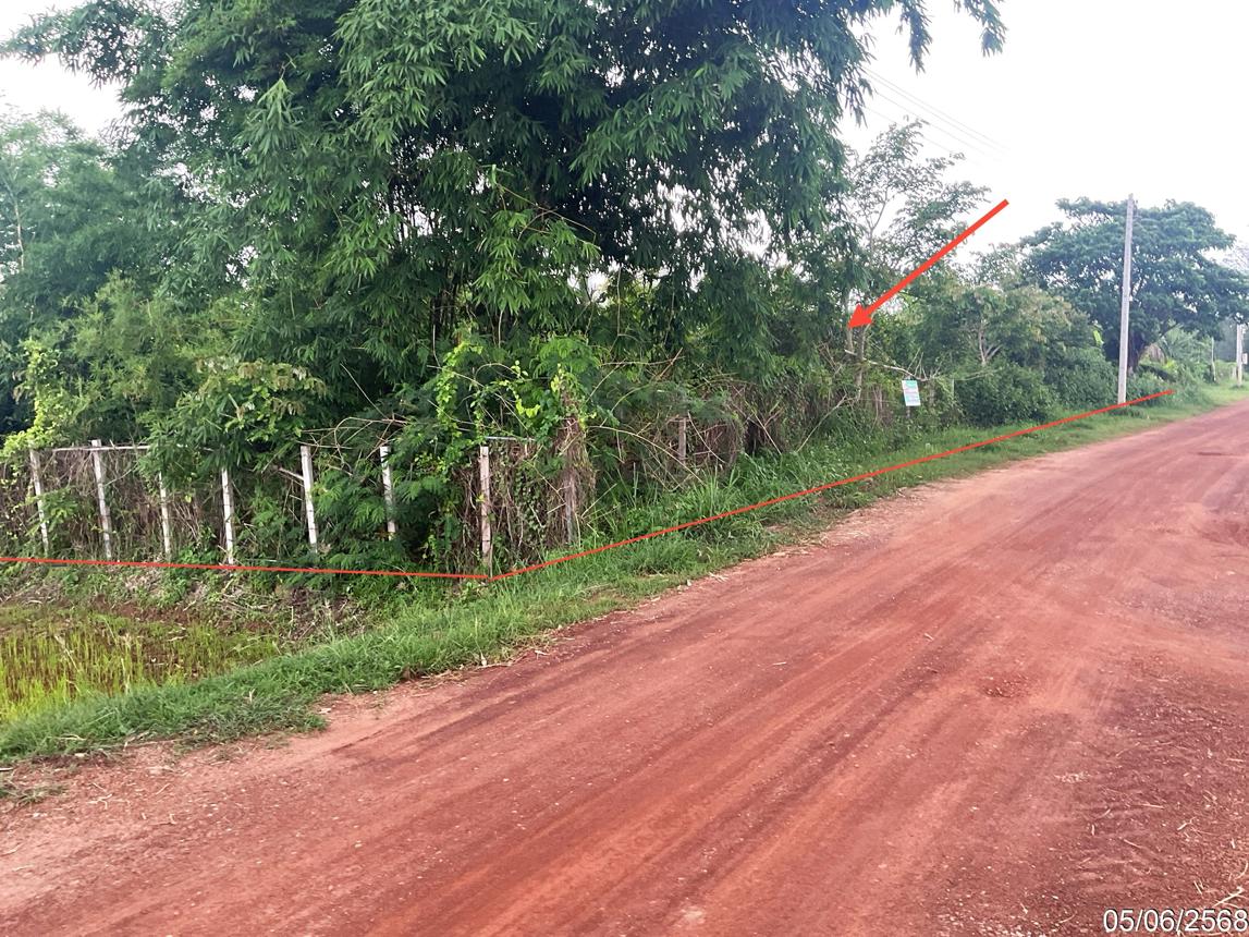 รูป ที่ดินว่างเปล่า 1124.3 ตร.วา เมืองสกลนคร สกลนคร 1.9M - รูปที่ 12/23
