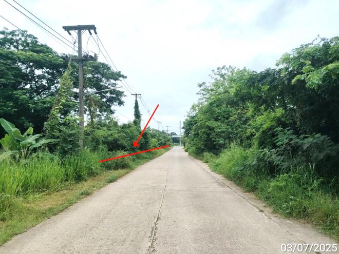 picture LAND 1753 Sq.w. Chiang Yun Maha Sarakham for 11.4M - 8/19