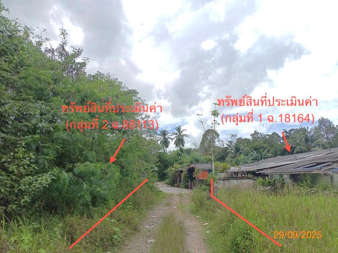 picture FACTORY 1026.6 Sq.w. Muang Trang Trang for 1.7M - 30/35