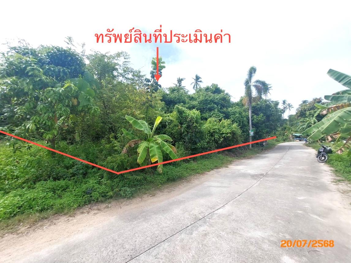 picture LAND 1519 Sq.w. Ko Samui Surat Thani for 12.6M - 8/15