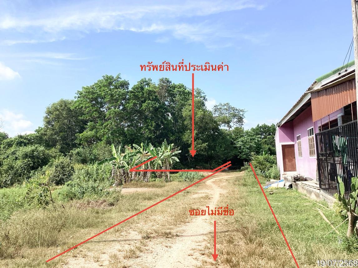 picture LAND 358.5 Sq.w. Hat Yai Songkhla for 2.2M - 10/17