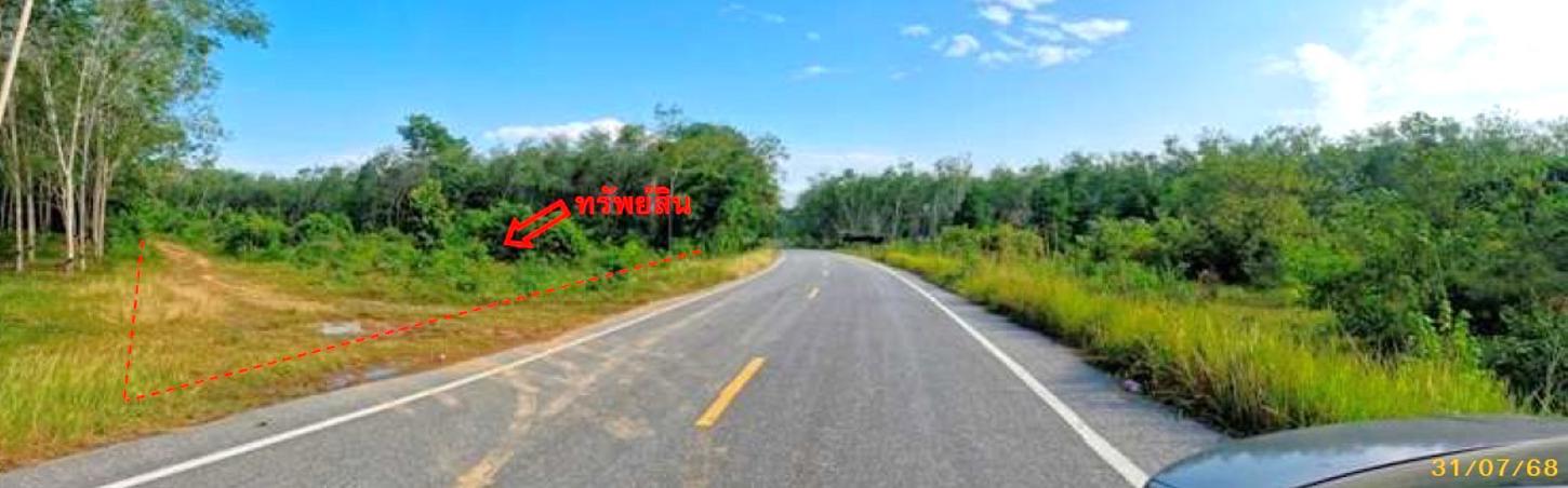 picture LAND 1539 Sq.w. Mae Lan Pattani for 1.4M - 10/19