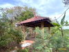 listing thumbnail image 43