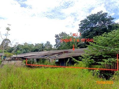 Factory for sale Trang : FACTORY 1026.6 Sq.w. Muang Trang Trang for 1.7M