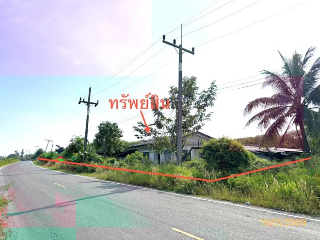 รูป บ้านเดี่ยว 4945 ตร.วา กาญจนดิษฐ์ สุราษฎร์ธานี 2.3M - รูปที่ 14/33