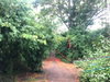 listing thumbnail image 19
