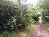 listing thumbnail image 20