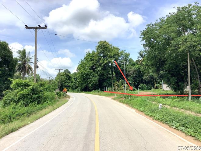 picture LAND 4246 Sq.w. Khlong Khlung Kamphaeng Phet for 4.2M - 10/25