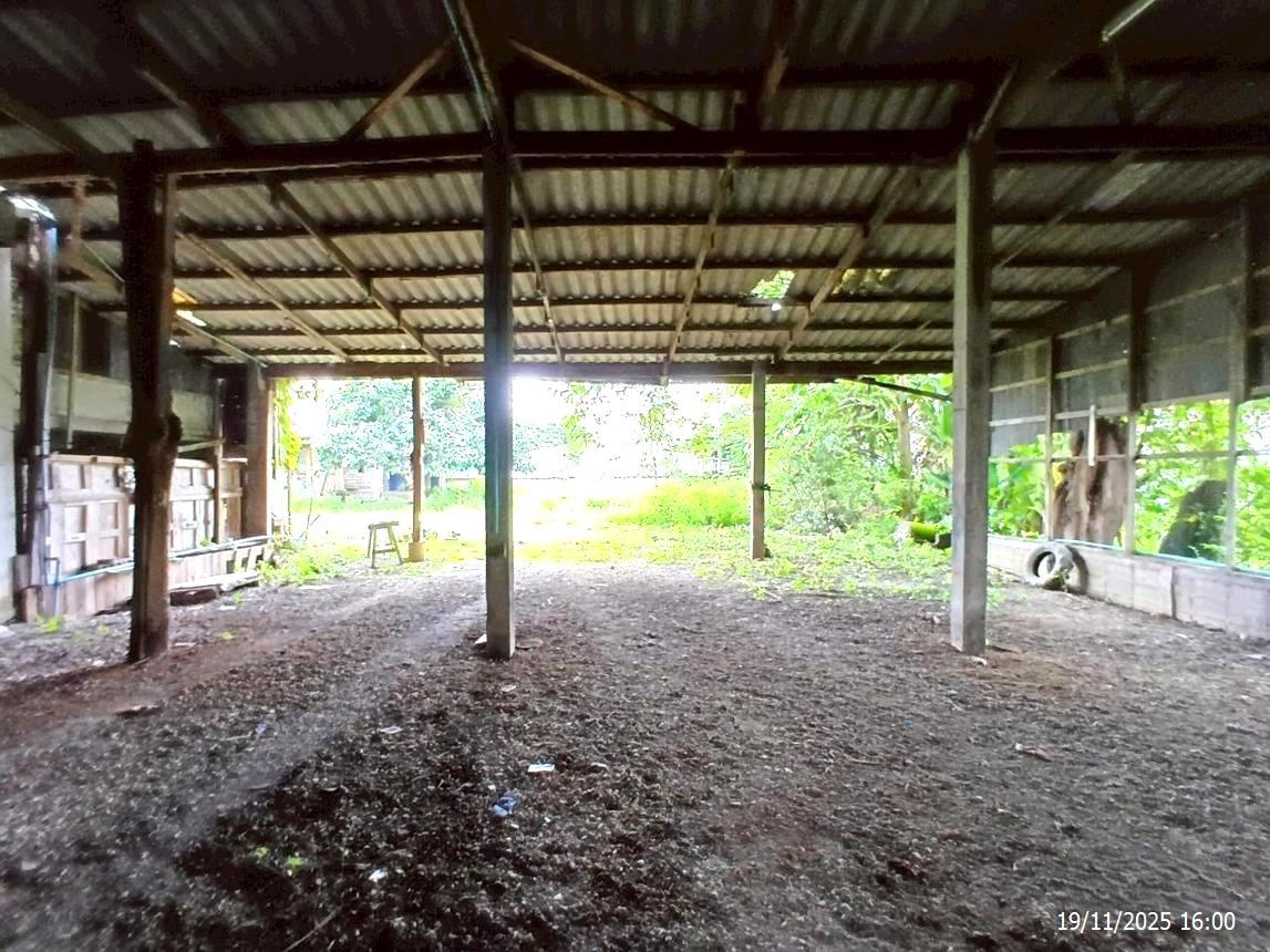 picture SHOP HOUSE 185 Sq.w. Mae Lao Chiang Rai for 4.4M - 41/45