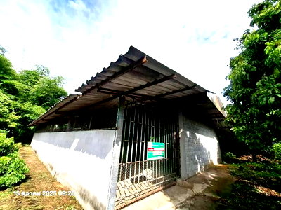 โรงงาน เชียงใหม่ : เพิงอเนกประสงค์ 525 ตร.วา จอมทอง เชียงใหม่ 1.4M