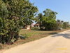 listing thumbnail image 14