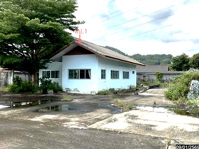 Houses for sale Ron Phi Pun Nakhon Sri Thammarat : HOME 1536.5 Sq.w. Ron Phi Pun Nakhon Sri Thammarat for 6.7M