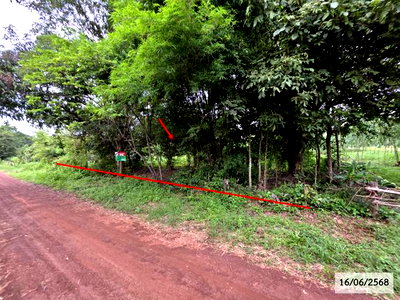 ที่ดิน วาริชภูมิ สกลนคร : ที่ดินว่างเปล่า 952 ตร.วา วาริชภูมิ สกลนคร 1.3M