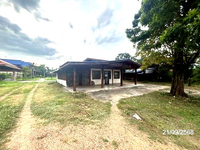 บ้านเดี่ยว ท่าตูม สุรินทร์ : บ้านเดี่ยว 587 ตร.วา ท่าตูม สุรินทร์ 2.8M