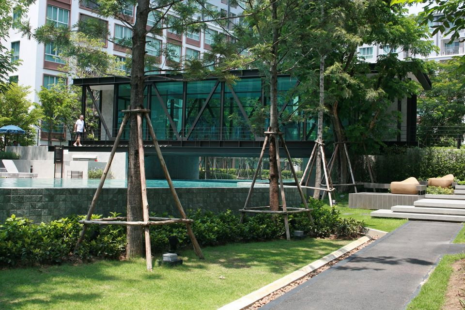 picture Dcondo ping for sale 2,100,000 THB near central chiangmai : Tel. 082-3899314 (Boo) - 7/14