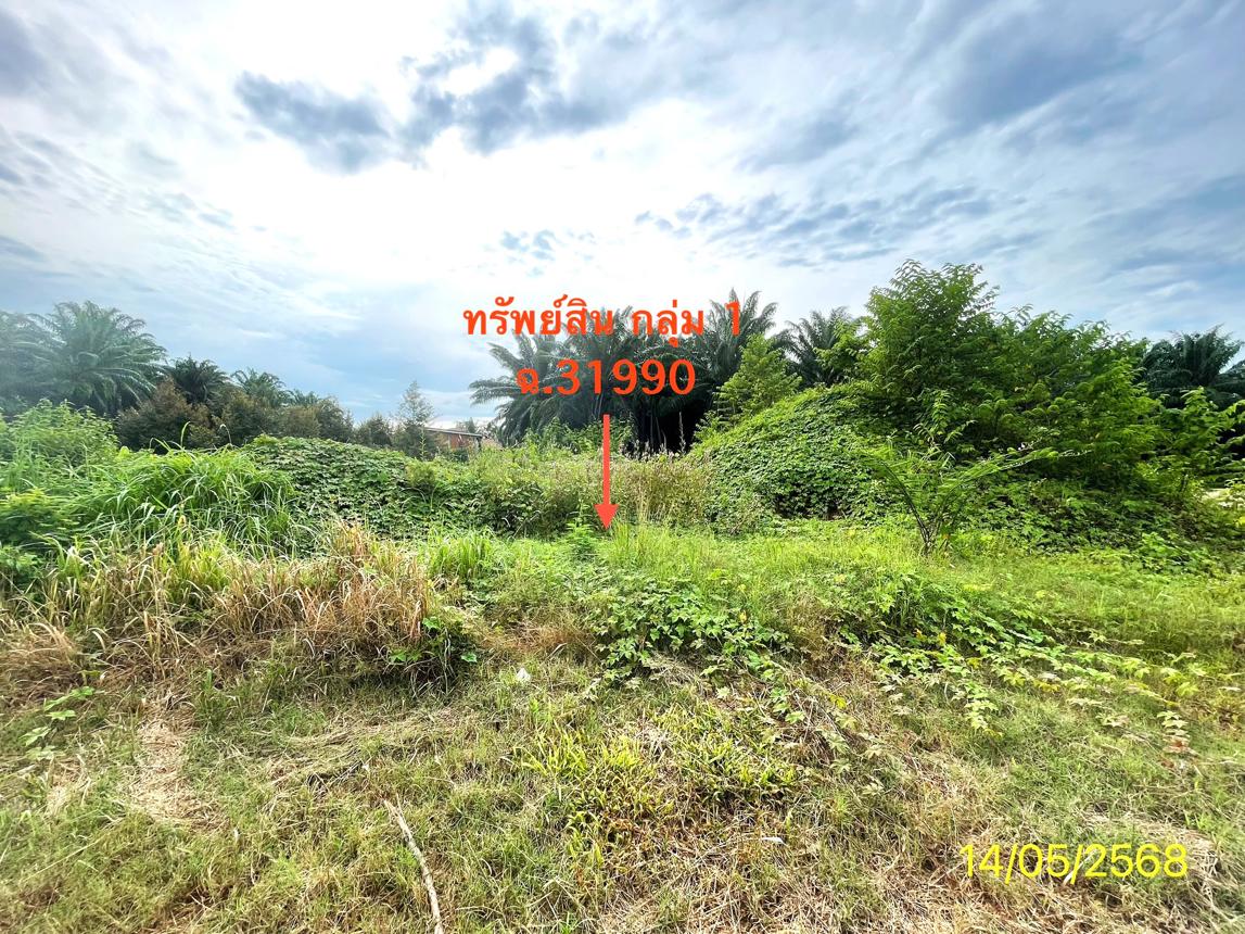picture LAND 564.2 Sq.w. Palian Trang for 4.2M - 16/25