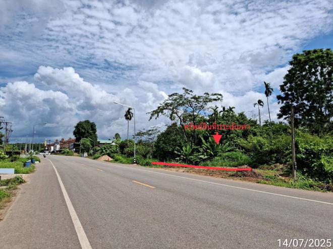 รูป ที่ดินว่างเปล่า 285.9 ตร.วา ปะเหลียน ตรัง 2.7M - รูปที่ 10/25