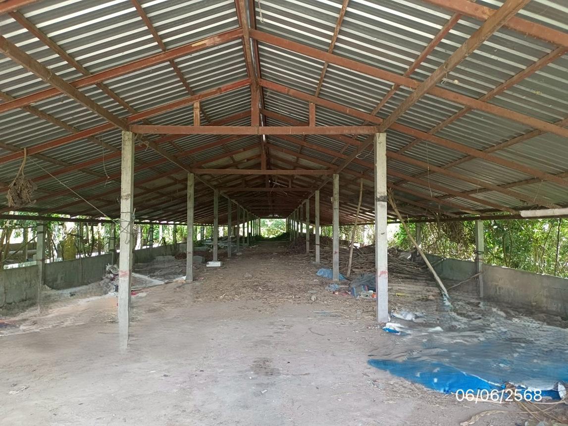 picture FACTORY 4023 Sq.w. Wiang Chai Chiang Rai for 4.5M - 16/25