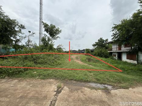 picture LAND 81 Sq.w. Khok Samrong Lopburi for 300,000 - 16/19