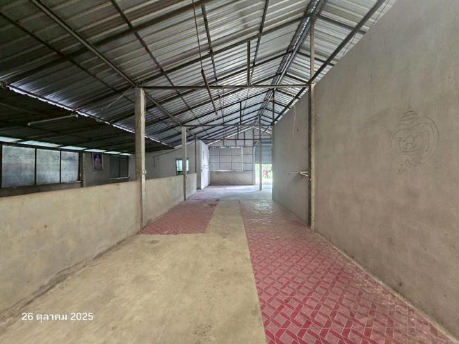 รูป บ้านเดี่ยว 160.7 ตร.วา พรหมพิราม พิษณุโลก 1.4M - รูปที่ 12/35