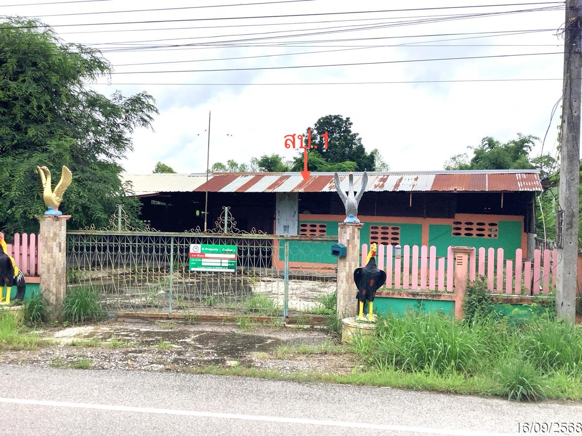 รูป บ้านเดี่ยว 540 ตร.วา ทรายทองวัฒนา กำแพงเพชร 2M - รูปที่ 22/41