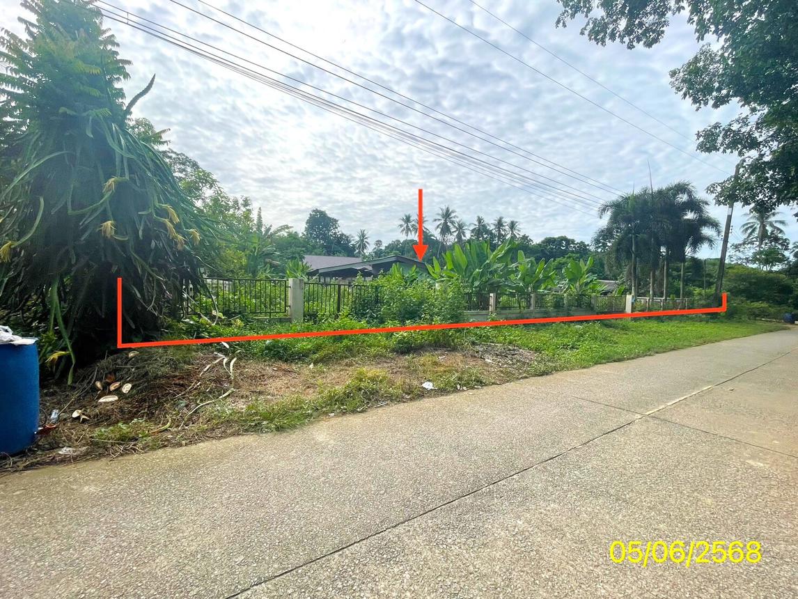 picture HOME 379 Sq.w. Yan Ta Khao Trang for 1.4M - 30/35