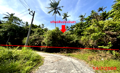 Land for sale Ko Samui Surat Thani : LAND 2986 Sq.w. Ko Samui Surat Thani for 20.9M
