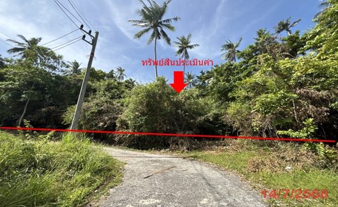 LAND 2986 Sq.w. Ko Samui Surat Thani for 20.9M