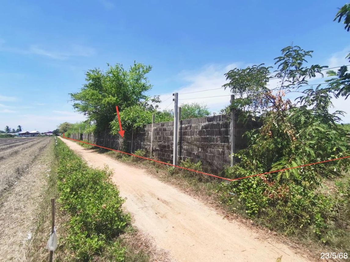รูป ที่ดินว่างเปล่า 1800 ตร.วา เมืองเพชรบุรี เพชรบุรี 1.3M - รูปที่ 15/25