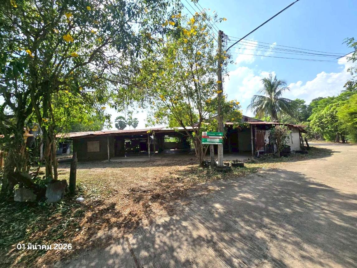 รูป บ้านเดี่ยว 135 ตร.วา หันคา ชัยนาท 543,000 - รูปที่ 15/31