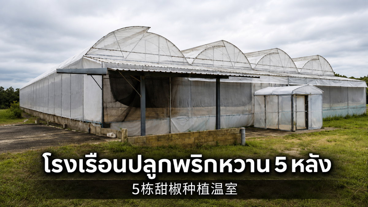 รูป ขายฟาร์มโรงเรือนพร้อมที่ดิน 19 ไร่+ ป่าซาง ลำพูน — โรงเรือน 5 หลัง พร้อมอาคาร ระบบน้ำ และพื้นที่ต่อยอด - รูปที่ 3/7