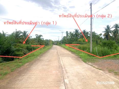 รูป ที่ดินว่างเปล่า 1945.7 ตร.วา เมืองสุราษฎร์ธานี สุราษฎร์ธานี 5.2M - รูปที่ 22/25